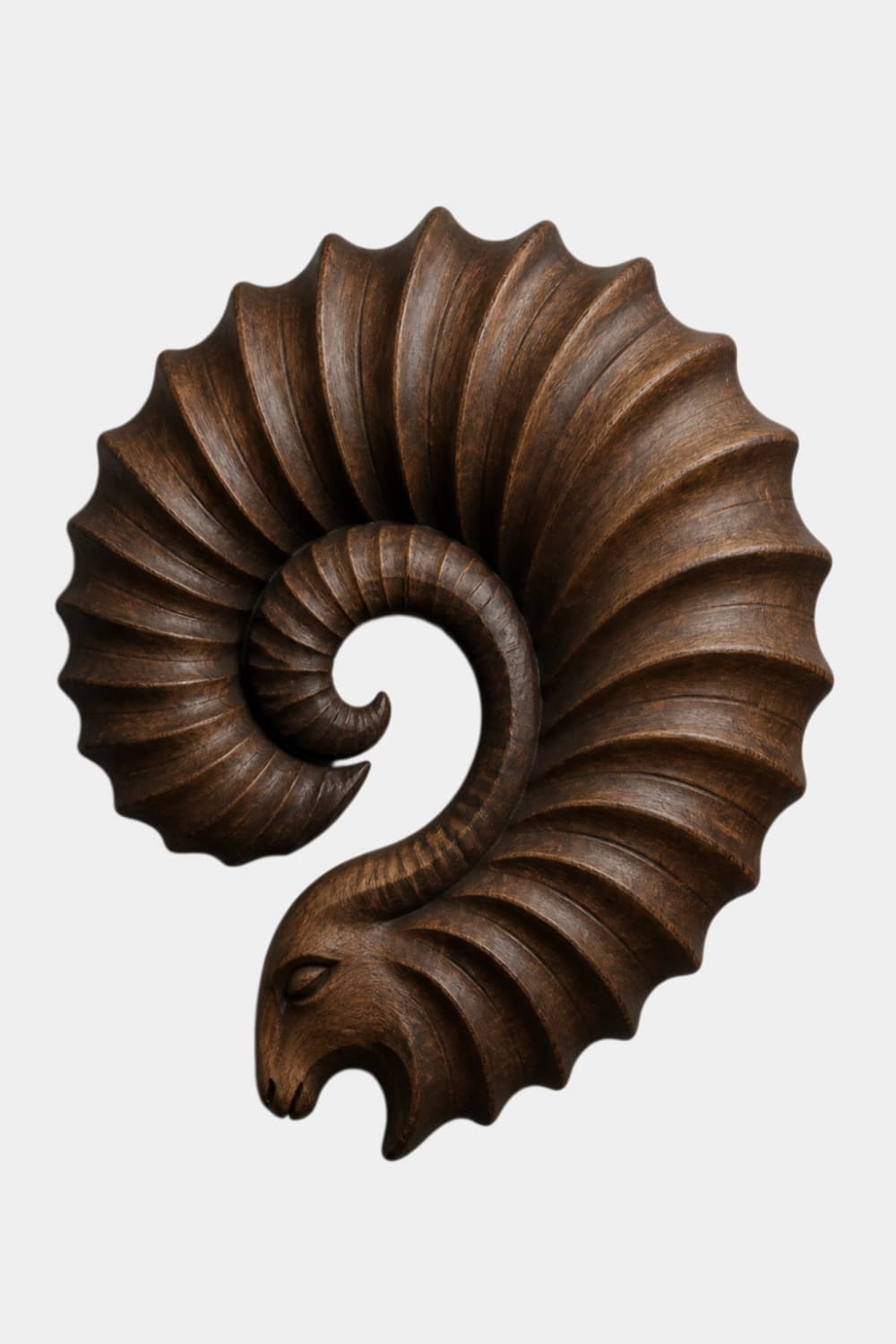 Carved Wooden Ram Horn Wall Sculpture | Ribbed Spiral Animal Relief Decor