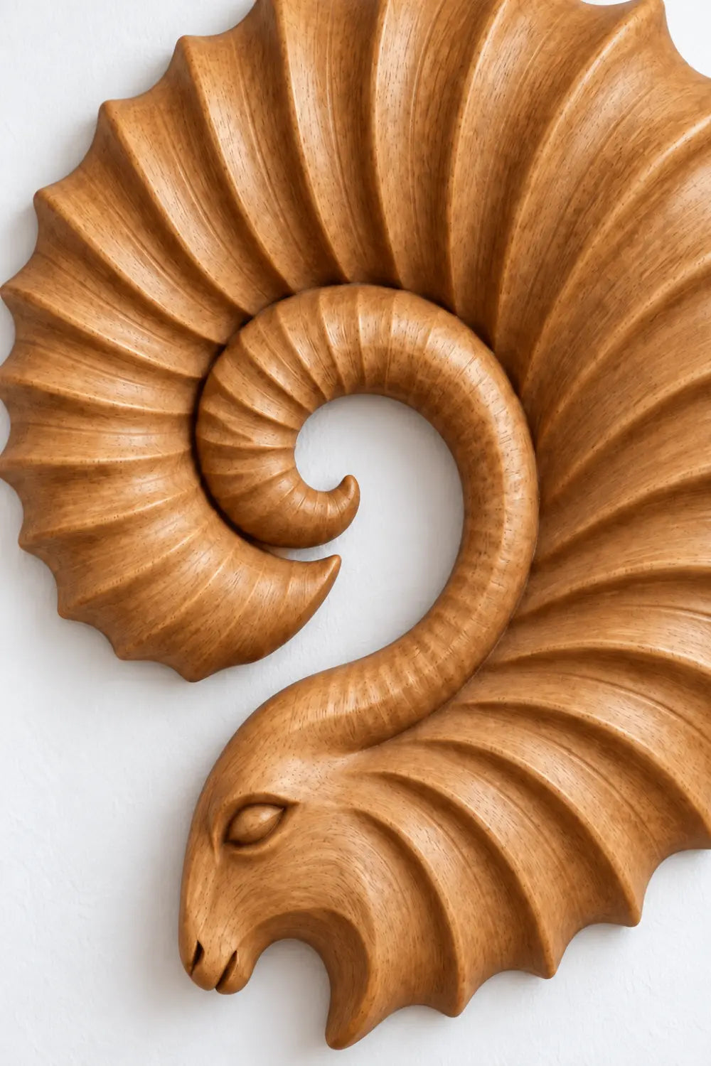 Carved Wooden Ram Horn Wall Sculpture | Ribbed Spiral Animal Relief Decor