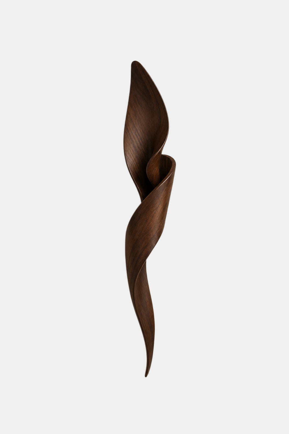 Botanical Wood Wall Sculpture | Sculptural Petal Wall Art | Dark Oak Accent