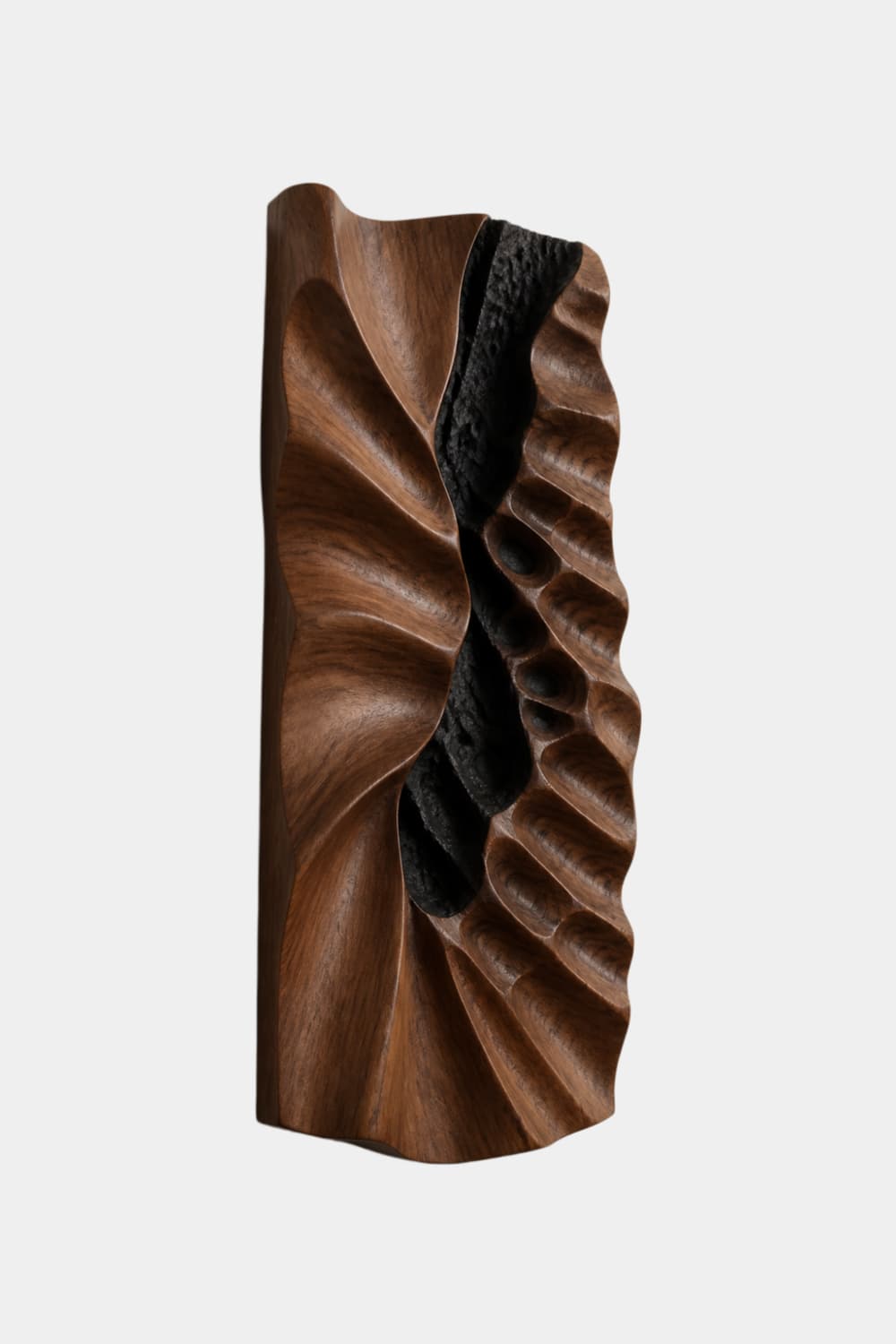 Carved Wood Wall Relief Art | Charred Accent Panel