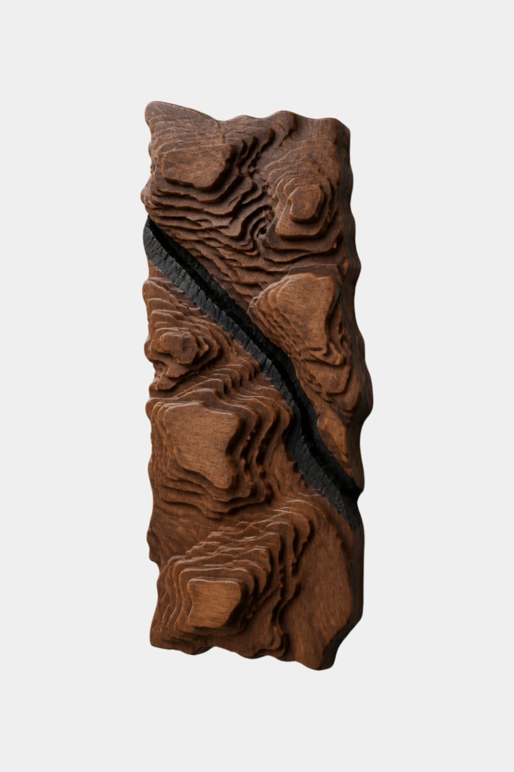 Topographic Wood Wall Relief | 3D Contour Panel Art