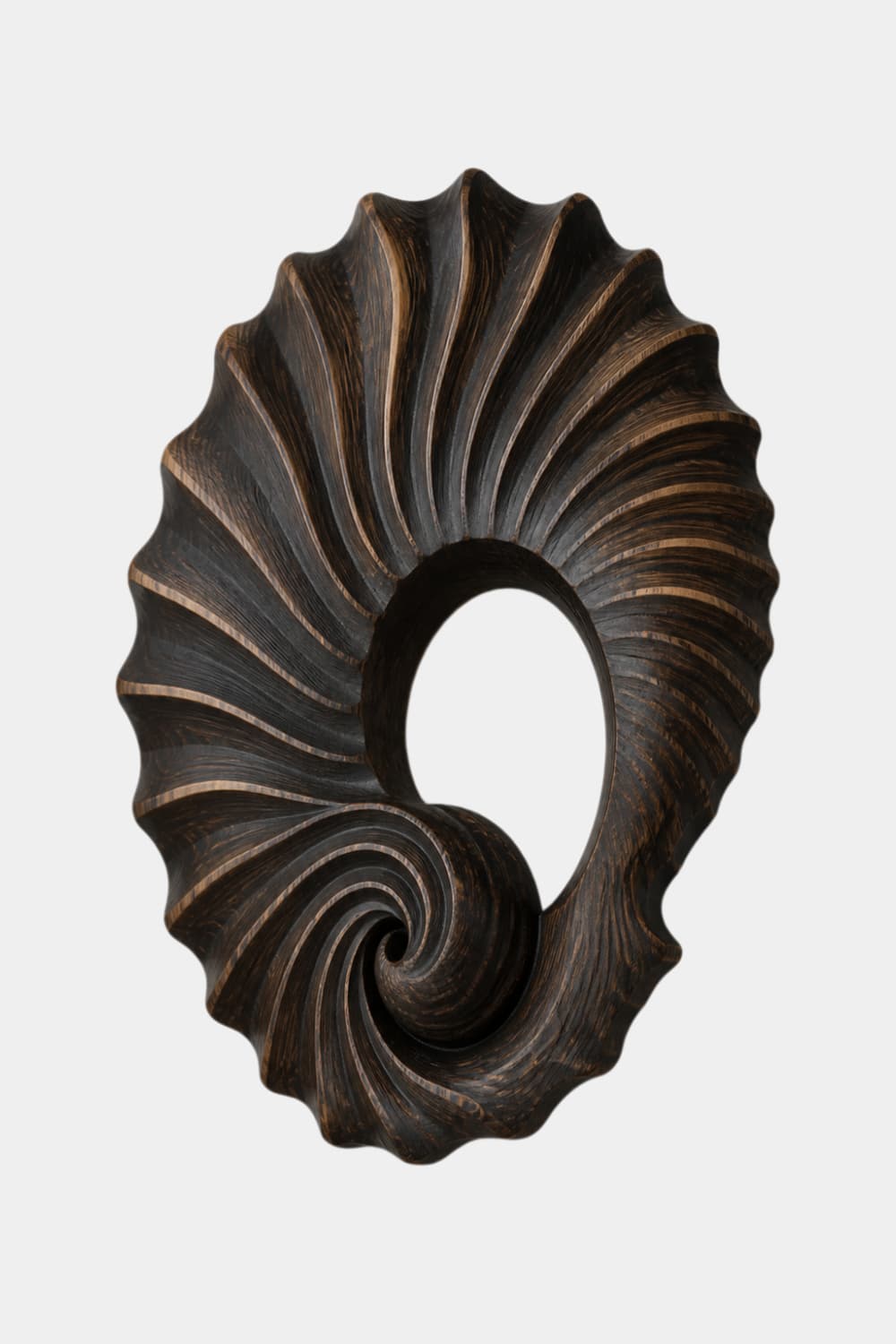 Carved Wooden Spiral Shell Wall Sculpture | Modern Nautilus Wood Relief Decor