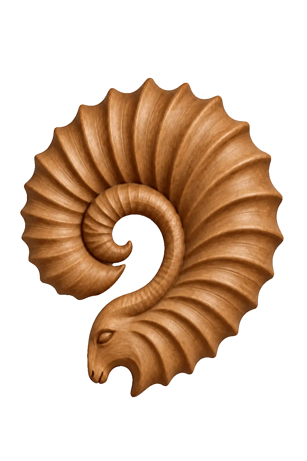 Carved Wooden Ram Horn Wall Sculpture | Ribbed Spiral Animal Relief Decor