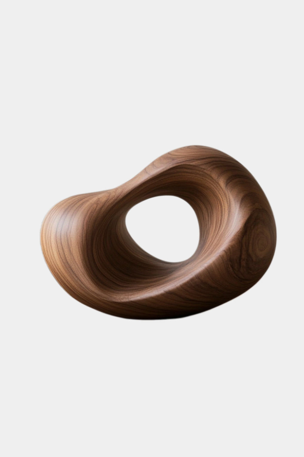 Organic Modern Wood Sculpture | Abstract Hollow Ring Decor